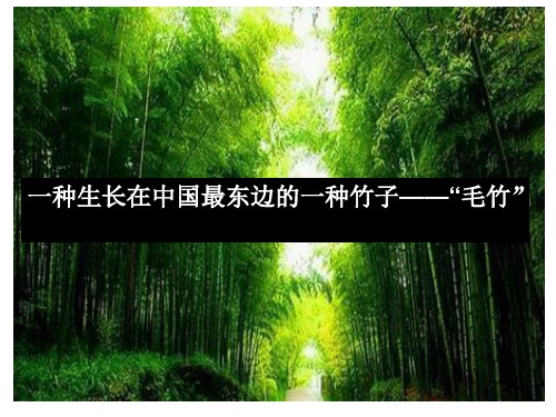 记叙文文本解读与教学策略ppt课件模板