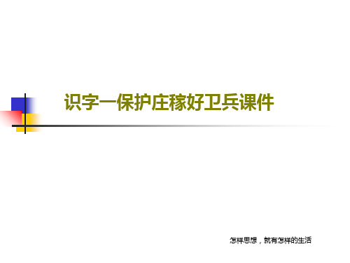 识字一保护庄稼好卫兵课件共22页文档