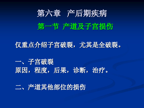 产科课件产后期病PPT课件