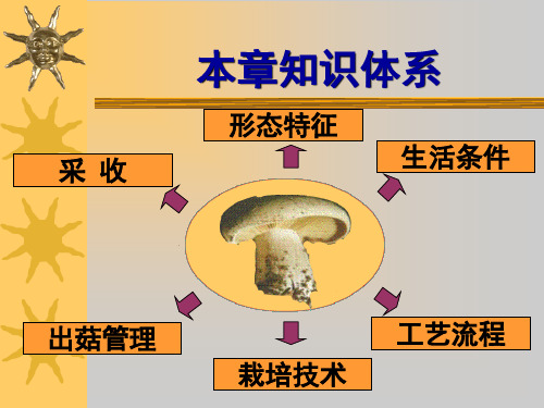 十七章节褐蘑菇栽培技术