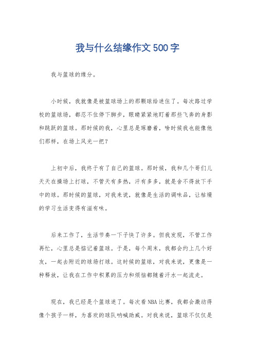 我与什么结缘作文500字