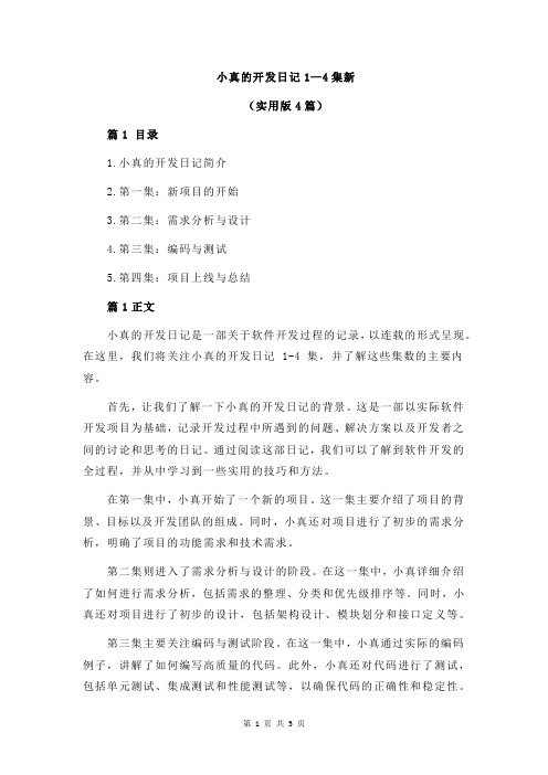 小真的开发日记1—4集新