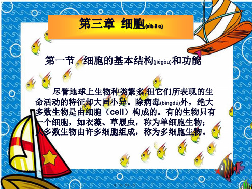 七年级生物上册第三章细胞31细胞的基本结构和功能1