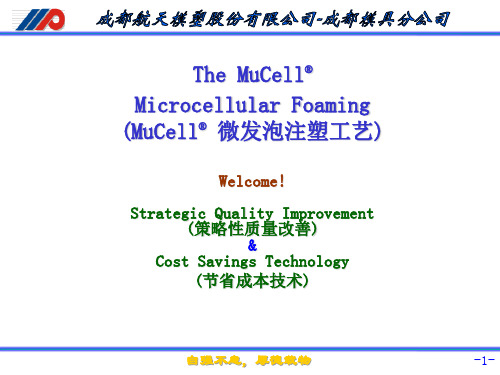 Mucell模具技术应用