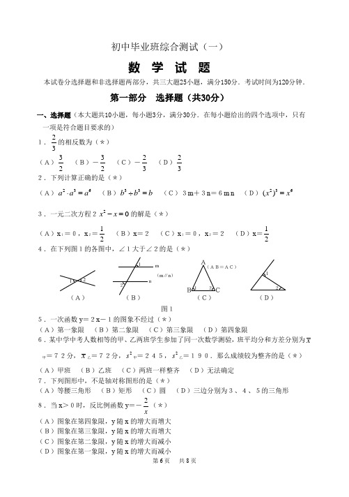 初中毕业班综合测试(一)数学试题