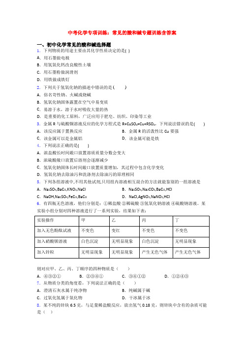 中考化学专项训练：常见的酸和碱专题训练含答案