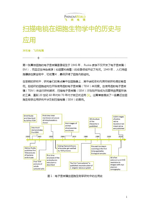 扫描电镜在细胞生物学中的历史与应用