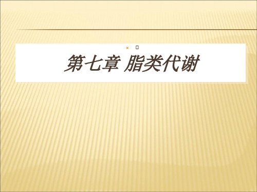 【课件】第八章脂质代谢ppt