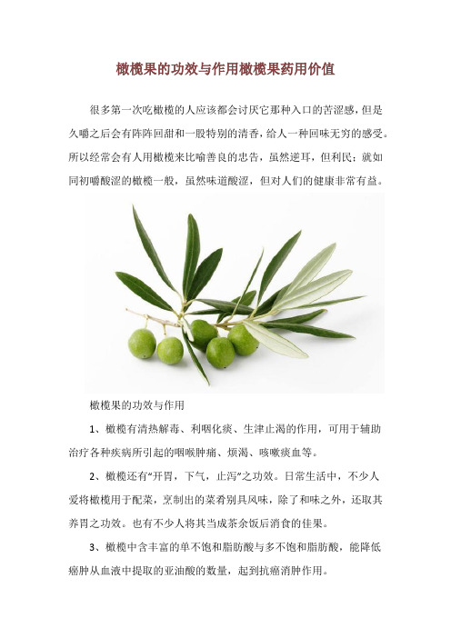 橄榄果的功效与作用 橄榄果药用价值