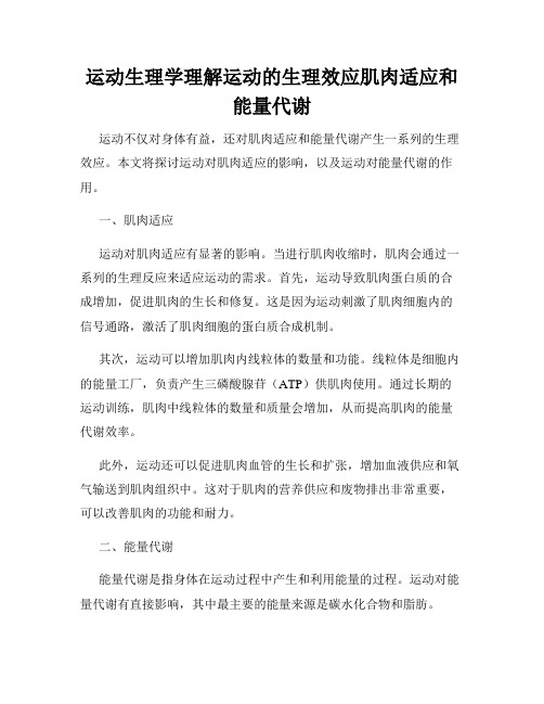 运动生理学理解运动的生理效应肌肉适应和能量代谢