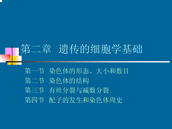 遗传学 第二章 遗传的细胞学基础 国家精品课程多媒体课件