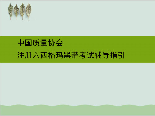 注册六西格玛黑带考试辅导指引PPT课件(99页)