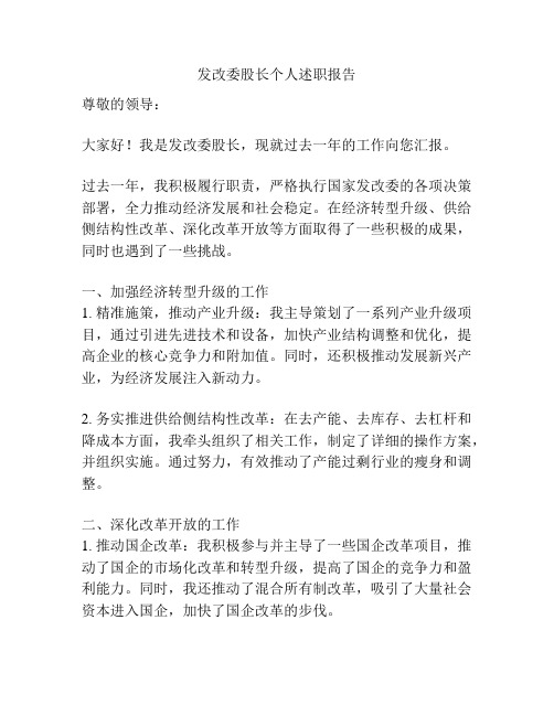 发改委股长个人述职报告