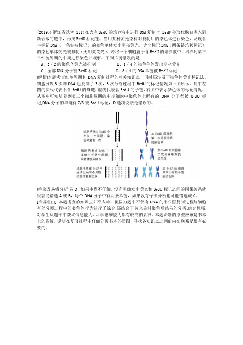 生物选考：DNA的复制与细胞增殖 题