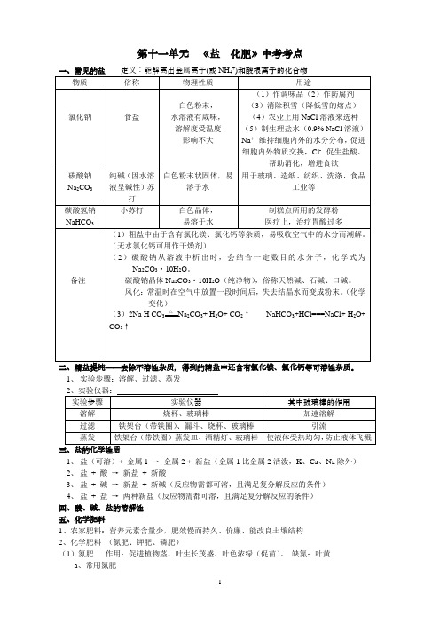 十二单元 盐 化肥知识点汇总