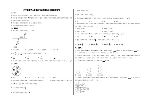 六年级数学上册期末考试考前尖子生拔高预测卷(人教版)