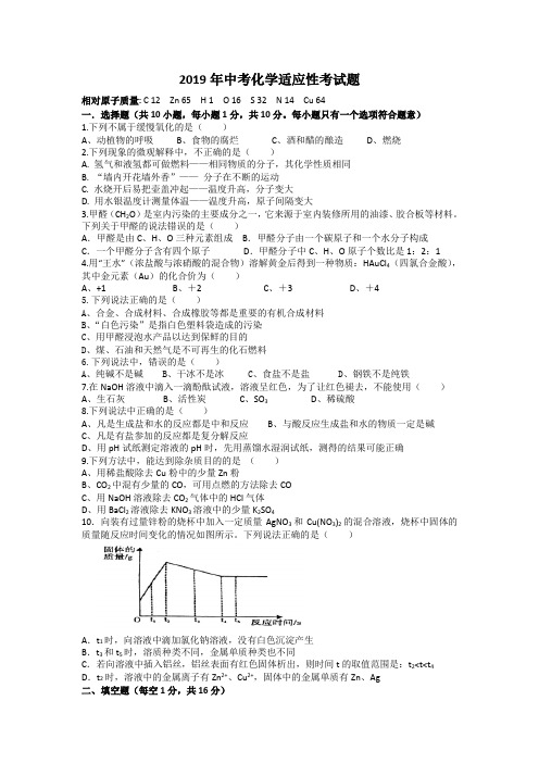 2019年中考化学适应性考试题