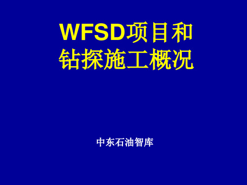 WFSD项目概况和钻探技术