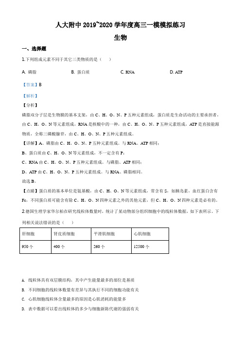 2020届北京市海淀区人大附中高三一模模拟练习生物试题(解析版)