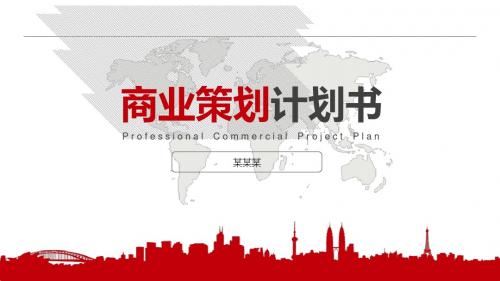 it行业商业计划书ppt