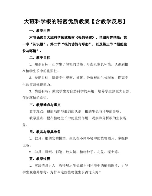 大班科学根的秘密优质教案【含教学反思】