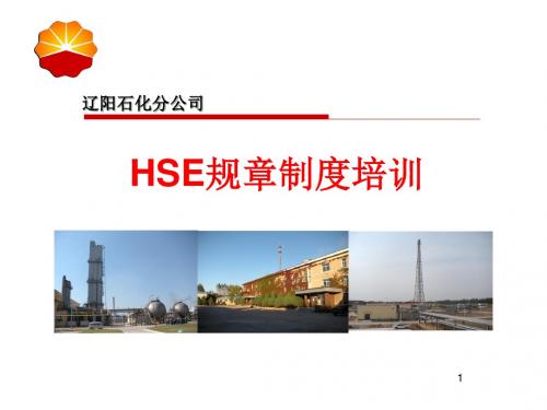 HSE规章制度培训课件(袁国增)