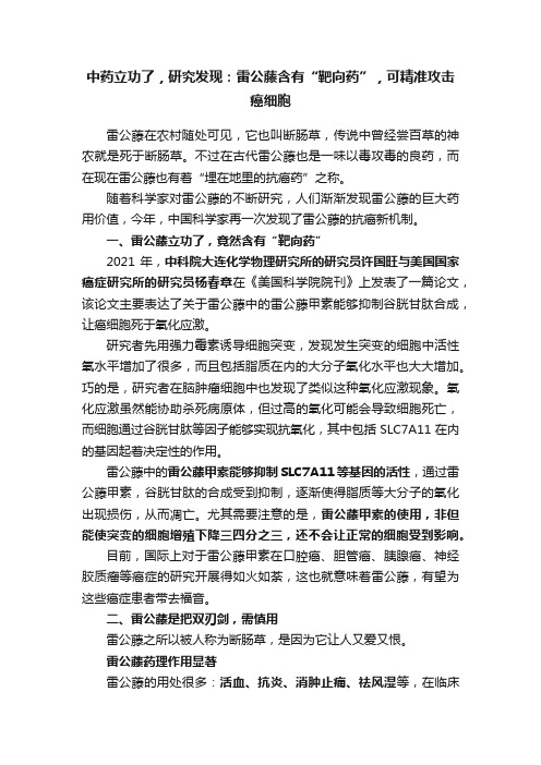 中药立功了，研究发现：雷公藤含有“靶向药”，可精准攻击癌细胞