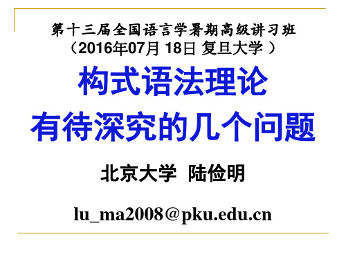 第十三届全国语言学暑期高级讲习班-构式语法理论有待深究的几个问题-陆俭明