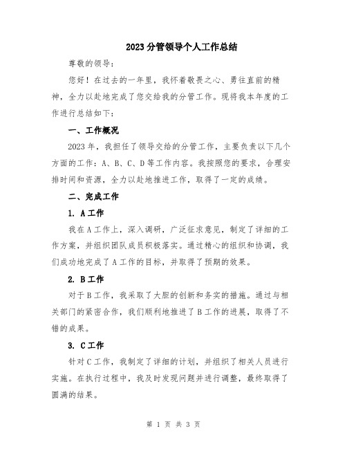 2023分管领导个人工作总结