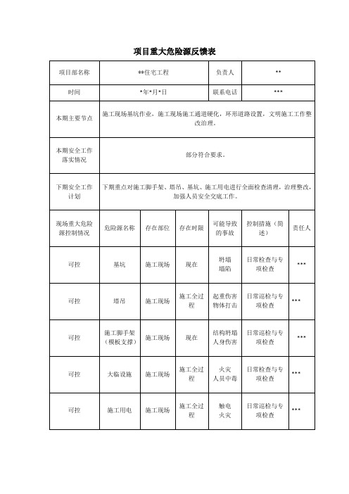 项目重大危险源反馈表(样表)