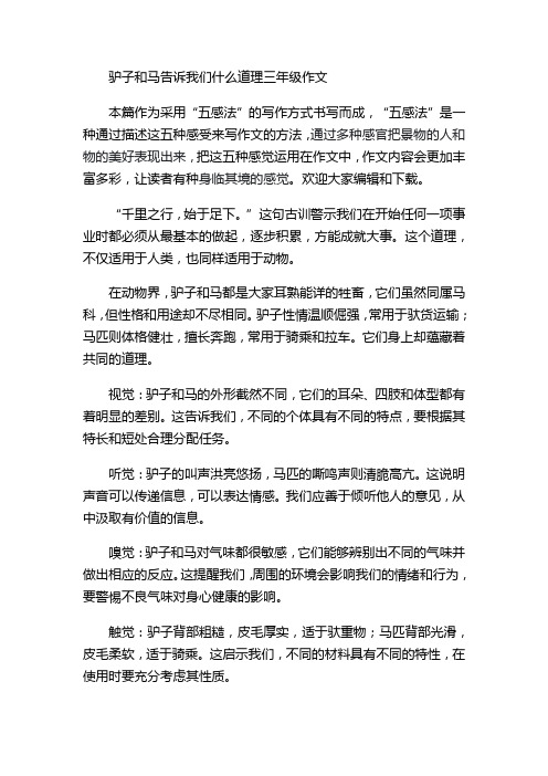 驴子和马告诉我们什么道理三年级作文