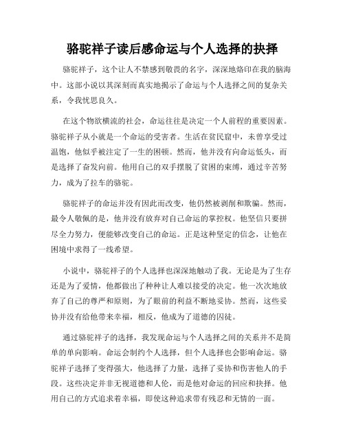 骆驼祥子读后感命运与个人选择的抉择