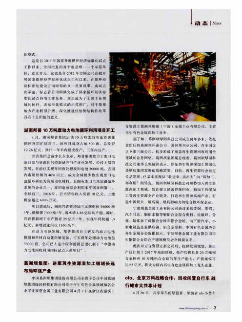 湖南邦普10万吨废动力电池循环利用项目开工