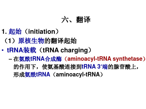 分子生物学16