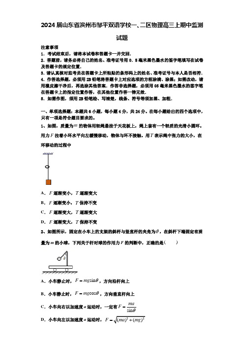 2024届山东省滨州市邹平双语学校一、二区物理高三上期中监测试题含解析