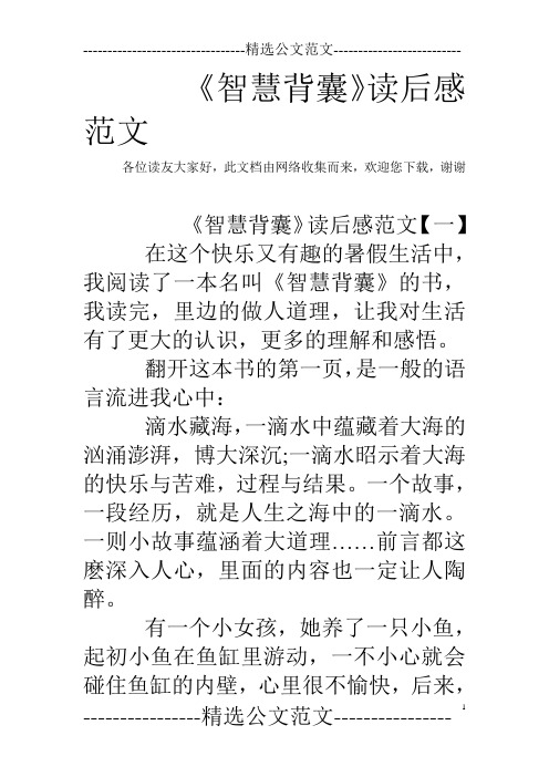 《智慧背囊》读后感范文
