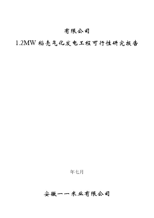 稻壳气化发电工程可行性研究报告汇总