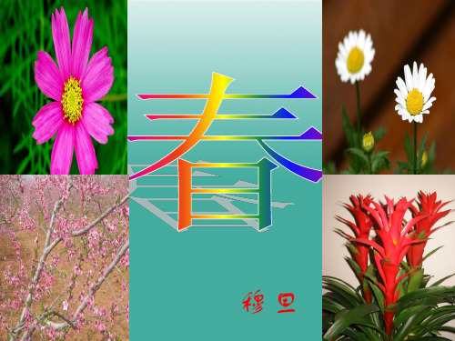 穆旦《春》.ppt.ppt