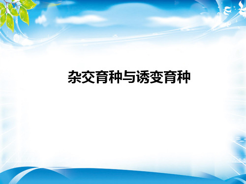 必修二第6章第1节杂交育种与诱变育种31PPT[优秀课件资料]