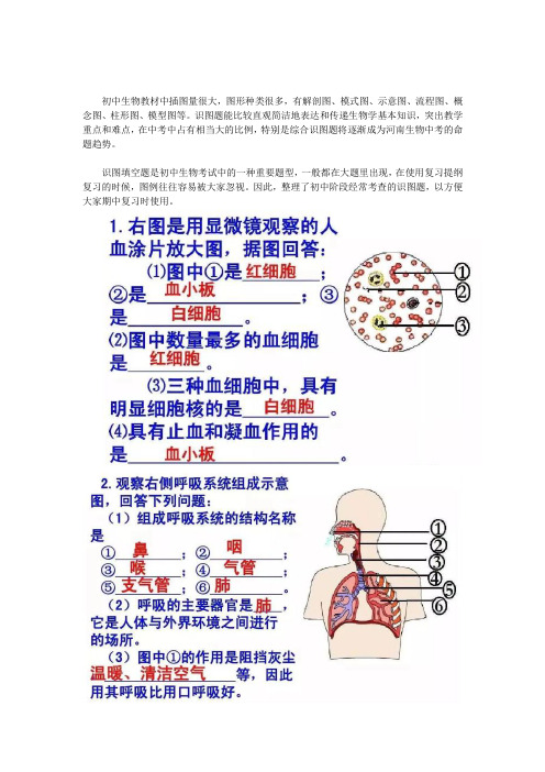 中考生物重要识图题归纳(含答案)