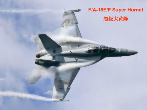 F18 大黄蜂战斗机简介