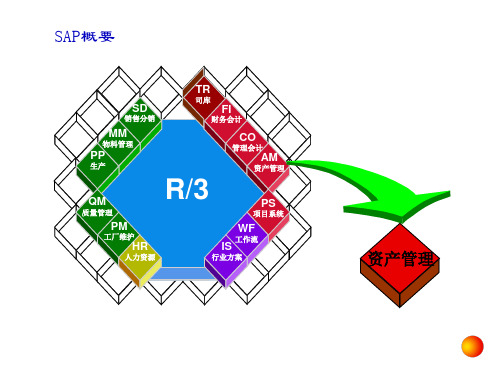 某咨询的sap财务会计培训资料50页PPT