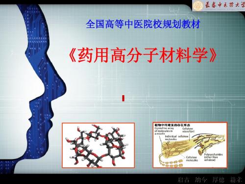 药用高分子材料学概论