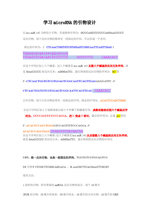 microRNA_引物设计