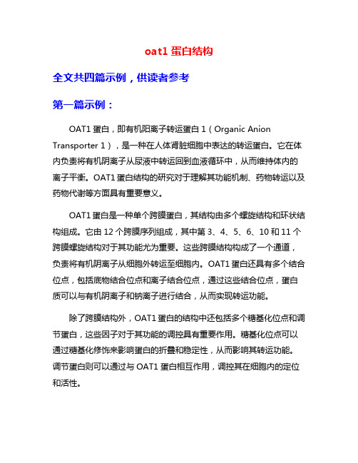 oat1蛋白结构