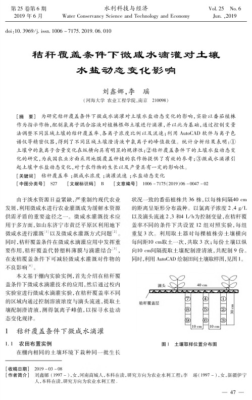 秸秆覆盖条件下微咸水滴灌对土壤水盐动态变化影响