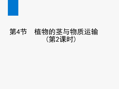 2020年新浙教版八年级科学下册课件第4节 植物的茎与物质运输(第2课时)