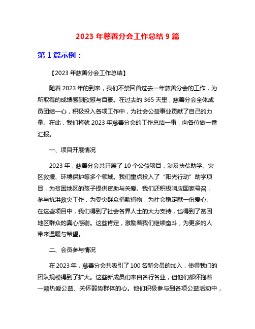 2023年慈善分会工作总结9篇