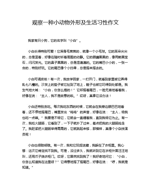 观察一种小动物外形及生活习性作文