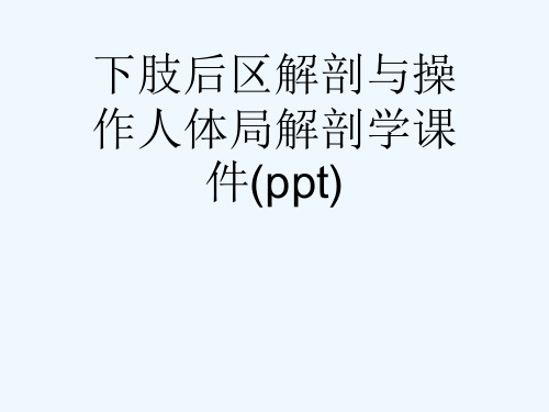 下肢后区解剖与操作人体局解剖学课件(ppt)